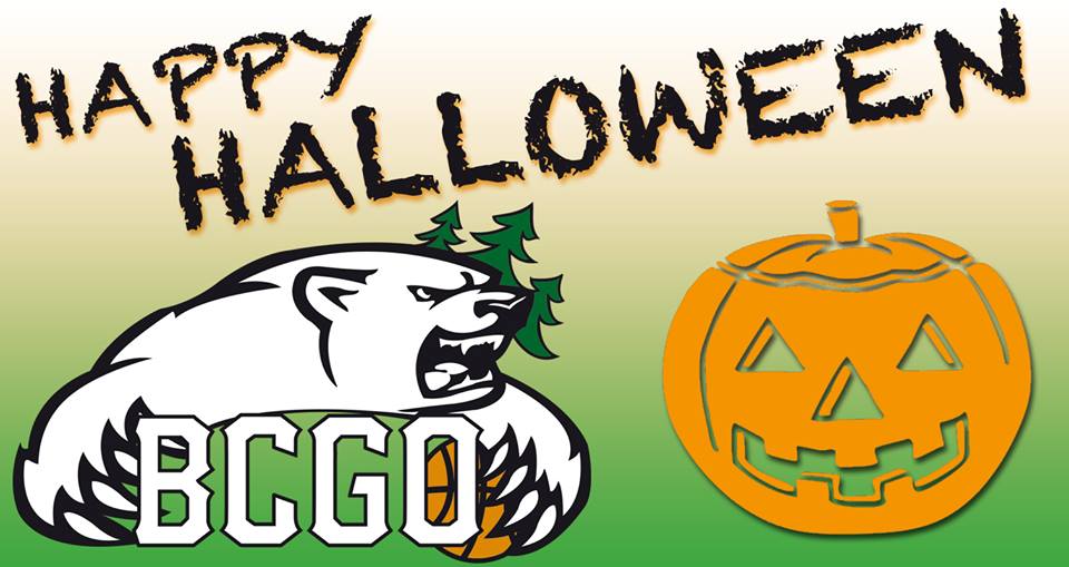 www.bcgo.net