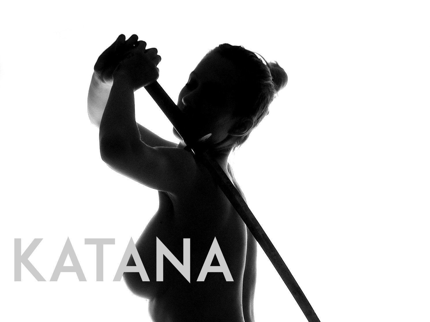 cropped-silhouette_katana.jpg